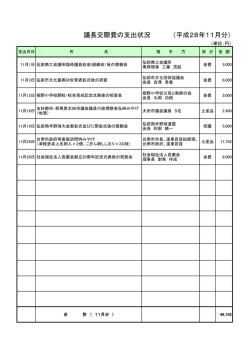 議長交際費の支出状況 （平成28年11月分）