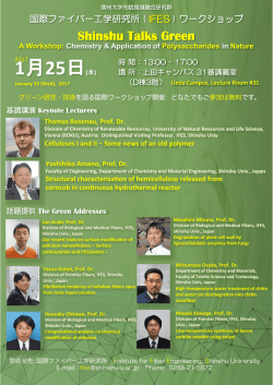 Workshop Poster