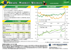 ブラジルマーケットウィークリー 2016年12月28日