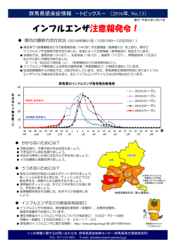 （群馬県感染症情報トピックスNo13）（223KB）（PDF文書