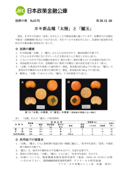カキ新品種「太雅」と「麗玉」