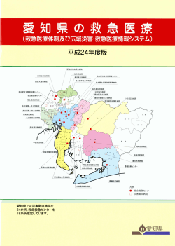 愛知県では災害拠点病院を 34か所、救命救急センターを