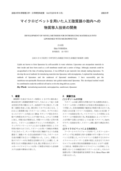 マイクロピペットを用いた人工脂質膜小胞内への 物質移入技術の開発