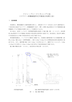 ツイン・ブレードミキシング工法 （スラリー系機械撹拌式中層混合処理工法）
