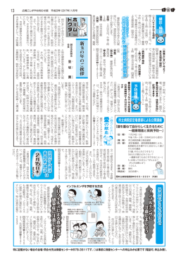 13ページ（PDF：567KB）
