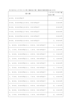 （補助対象限度額300万円） （PDF 42.5KB）