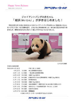 リリース全文