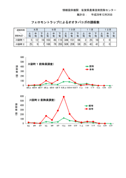 フェロモントラップによるオオタバコガの誘殺数