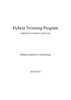 Hybrid Twinning Program