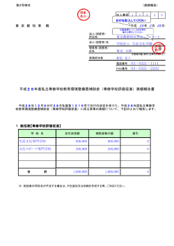 3.実績報告書記入例 PDF