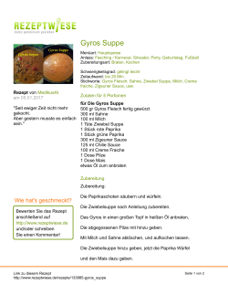 Gyros Suppe - Rezeptwiese