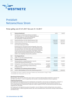 Preise für den Netzanschluss Strom gültig ab 01.01.2017