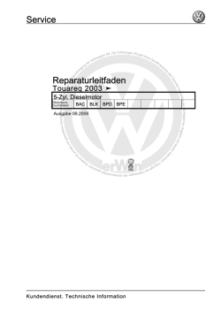 Reparaturleitfaden Service