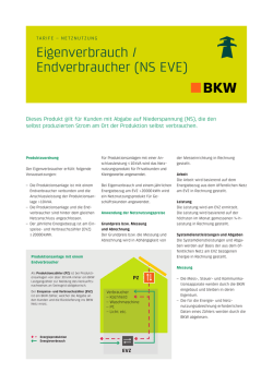 Eigenverbrauch / Endverbraucher (NS EVE)