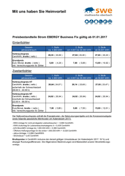 Ebergy Business FIX eigenes Netz