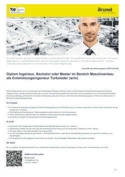 Diplom Ingenieur, Bachelor oder Master im Bereich