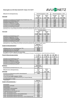 Strom Netznutzungsentgelte - 2017