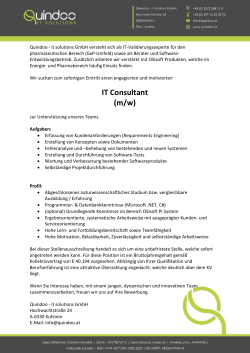 IT Consultant