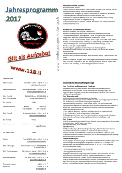 Jahresprogramm 17.xlsx