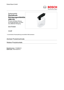 Hochdruck- Reinigungsmitteld&uuml;se (550 ml)