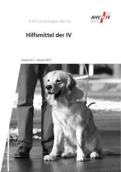 Hilfsmittel der IV
