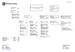 Datei öffnet in neuem Fenster Organigramm der Verwaltung (PDF