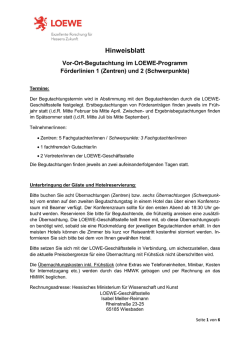 Hinweisblatt - Hessisches Ministerium f&uuml;r Wissenschaft und Kunst