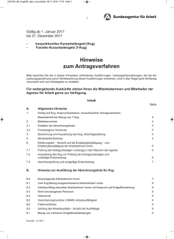 Hinweise zum Antragsverfahren