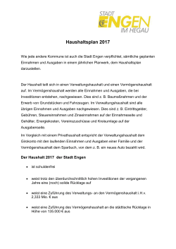 Haushaltsplan 2017