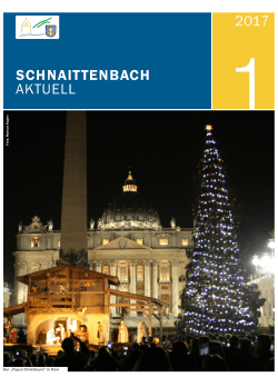 Schnaittenbach Aktuell Nr. 1/2017