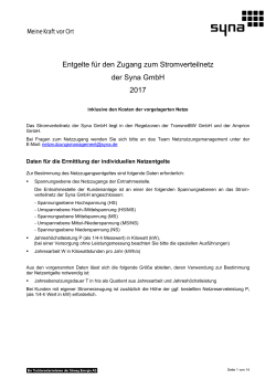 Preisblätter Netzentgelte Strom 2017 ( PDF | 0.3 MB )