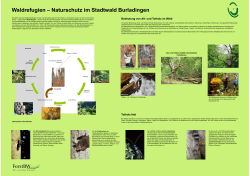 Waldrefugium - in der Stadt Burladingen!