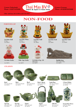 NON-FOOD - Thai Mas BV