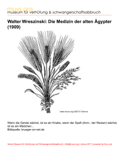 Walter Wreszinski: Die Medizin der alten Ägypter