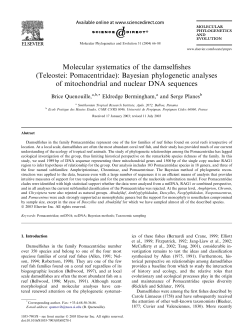 Molecular systematics of the damselfishes (Teleostei