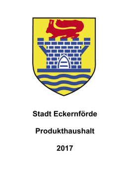 Haushalt Satzung und Vorbericht 2016