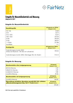 Entgelte für Messstellenbetrieb und Messung