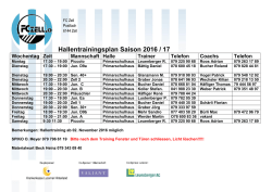 Hallentrainingsplan 2017