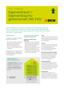Eigenverbrauch / Eigenverbrauchs - gemeinschaft (NS EVG)