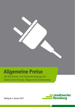 Allgemeine Preise - Stadtwerke Flensburg