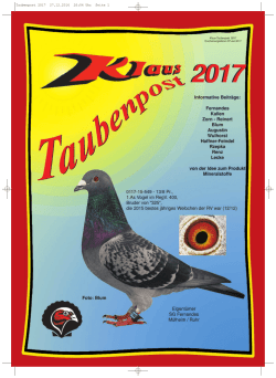 Taubenpost 2017 - Brieftauben