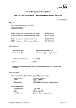 Informationsdatenblatt f&uuml;r Messstellenbetreiber und Messdienstleister