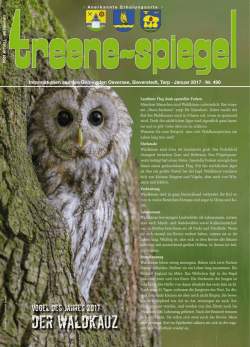 Januar 2017 - Treenespiegel