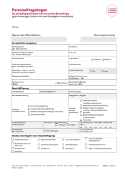 Personalfragebogen Minijob