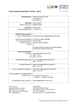 Kommunikationsdatenblatt Vertrieb – Strom