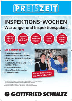 Inspektions-Wochen Wartung- und Inspektionspaket