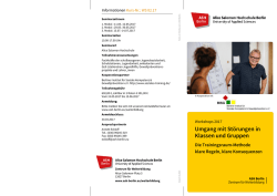 Infoflyer  - Berliner Institut f&uuml;r Soziale Kompetenz und