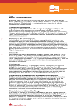 Anlage Merkblatt „Arbeitsrecht für Minijobber“ - Minijob