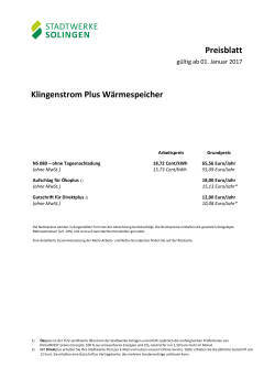 Preise Klingenstrom Plus WS NS080