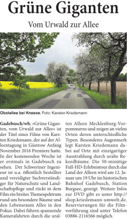 Gr&uuml;ne Giganten